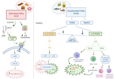 The Role of Diet and Gut Microbiota in Regulating Gastrointestinal and Inflammatory Disease